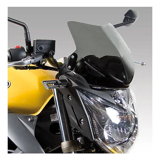 Di Tendenza Barracuda Aerosport Screening Specific for Yamaha XJ6
