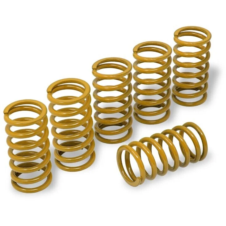 Clutch Springs MO345 H45 - BMW CNC Racing Gold Quantità Limitata
