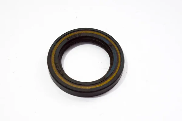 03620 - PARAOLIO 48X72X10 RP DOPPIO LABBRO Non Perdere