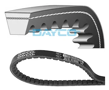 Soddisfatti O Rimborsati 5358DD - CINGHIA DAYCO DENTATA PER MODIFICA CIAO PX 10X925