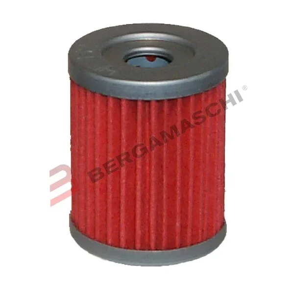 Offerta Limitata E1713200 - FILTRO OLIO HF132 BURGMAN 250 1998>2002