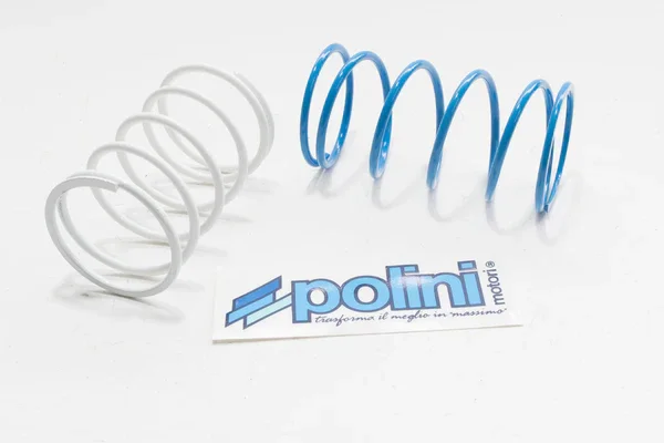 Vendita Finale 243043 - KIT MOLLE DI CONTRASTO EVOLUTION POLINI APRILIA AREA 51 - SR 50 WWW - MALAGUTI F 12 50 PHANTOM 2000 - PIAGGIO ZIP 50 FAST RIDER