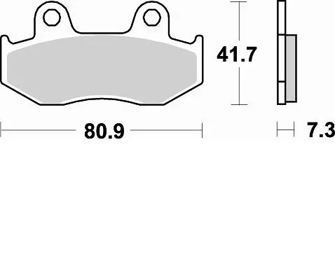 Acquista Ora P30667 - COPPIA PASTIGLIE FRENO PAD SINTERED BRAKING SH 150 BURGMAN 400 99-00