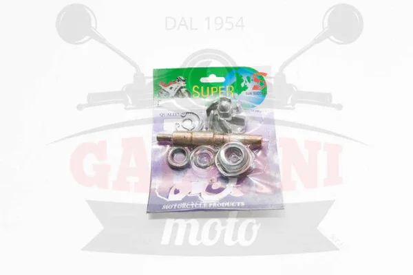 Ordina Subito 0376 - KIT REVISIONE POMPA ACQUA -BUZZETTI-HONDA SH-PANTHEON-DYLAN