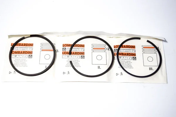 8211018 - SERIE FASCE ELASTICHE DIAMETRO 87 LOMBARDINI 6LD400 Prezzo Scontato
