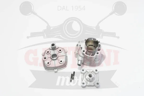 Ordina Subito 166009910 - KIT CILINDRO GRUPPO TERMICO -POLINI - EVOLUTION 2 YAMAHA-APRILIA H2O-MALAGUTI D.47