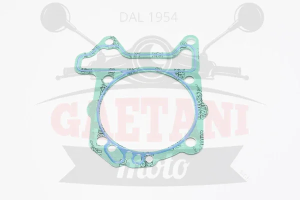 S410480006098 - GNE BASE CIL.SP.0 Must-Have