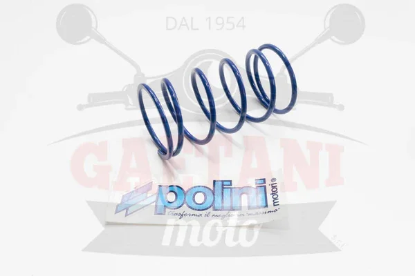 Ultime Pezzi 243047 - MOLLA DI CONTRASTO POLINIQUARTZ EVOLUTION BLU ZIP / AEROX / NRG / RUNNER
