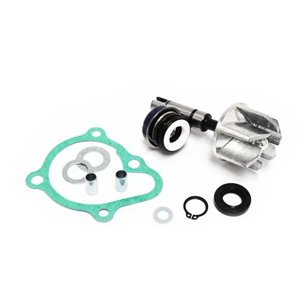 Saldi 282035 - KIT REVISIONE POMPA ACQUA 300 DOWNTOWN-200-300-350-PEOPLE GTI 200-300