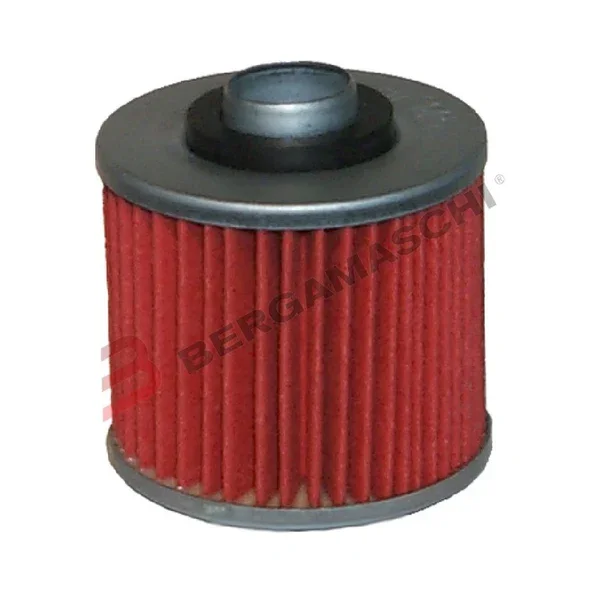 Professionale E1714500 - FILTRO OLIO TDM 850 DAL 91 AL 2001- PEGASO 650 DAL 2005 AL 2009 HF145