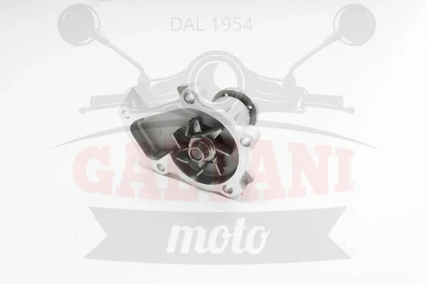1610087108000S - POMPA ACQUA PORTER 1000/1300 BZ NON ORIGINALE Reso Gratuito