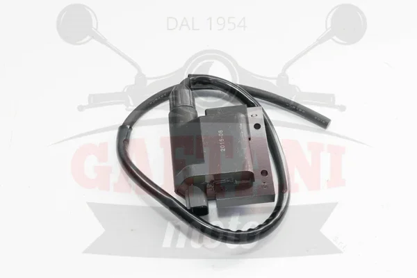 Prezzo Ridotto 162422 - BOBINA -SGR- KYMCO-SYM-PIAGGIO-PEUGEOT