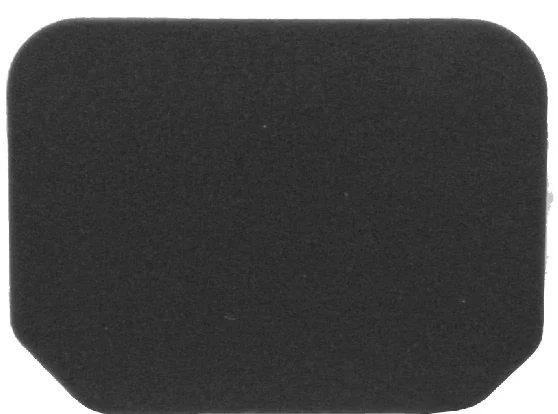 Spedizione Espresso 100600941 - FILTRO ARIA BURGMAN 250-400