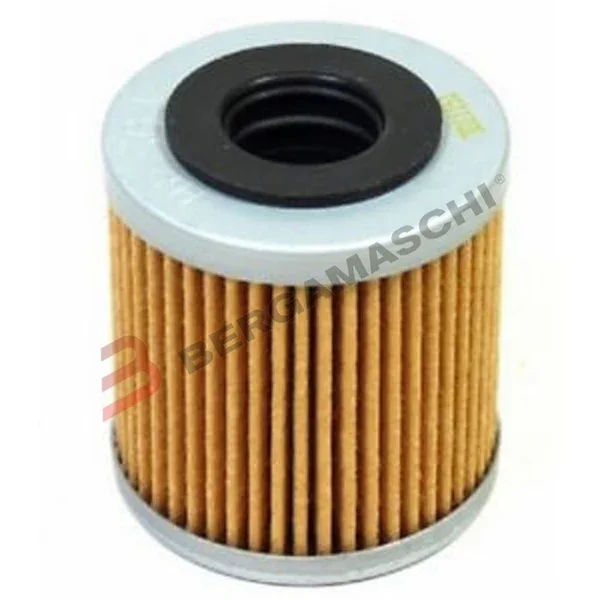 Economico E1756900 - FILTRO OLIO -HIFLO HF569- MV AGUSTA BRUTALE 675/800