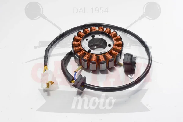 Professionale 168043 - STATORE