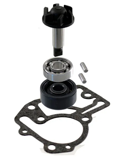 Esclusivo 100110560 - KIT REVISIONE POMPA ACQUA NEO' S 4 TEMPI 2015