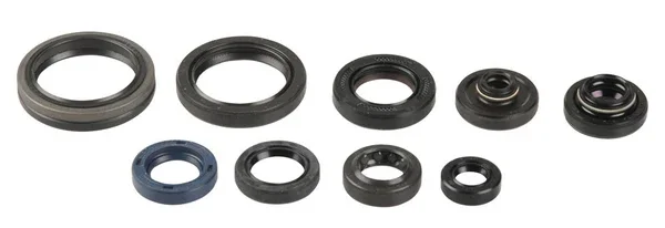 P400510400140 - SERIE PARAOLIO MOTORE SUZUKI RM 125 DAL 1992 AL 2008 Ultimissimo Modello