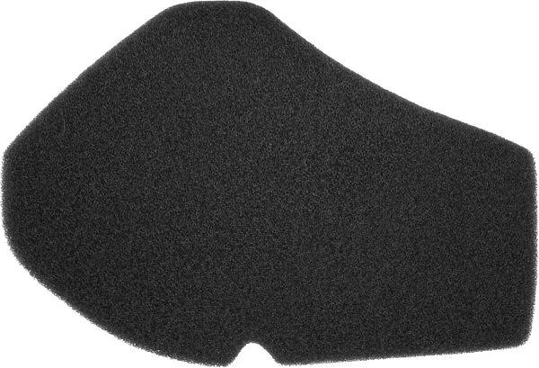 100601231 - FILTRO ARIA BURGMAN 125-150 DAL 2002 AL 2006 Must-Have
