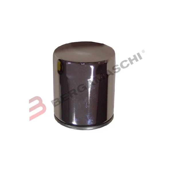 Più Venduto E1717101 - FILTRO OLIO HARLEY-BUELL DAL 2000 AL 2002 CROMATO HF171C