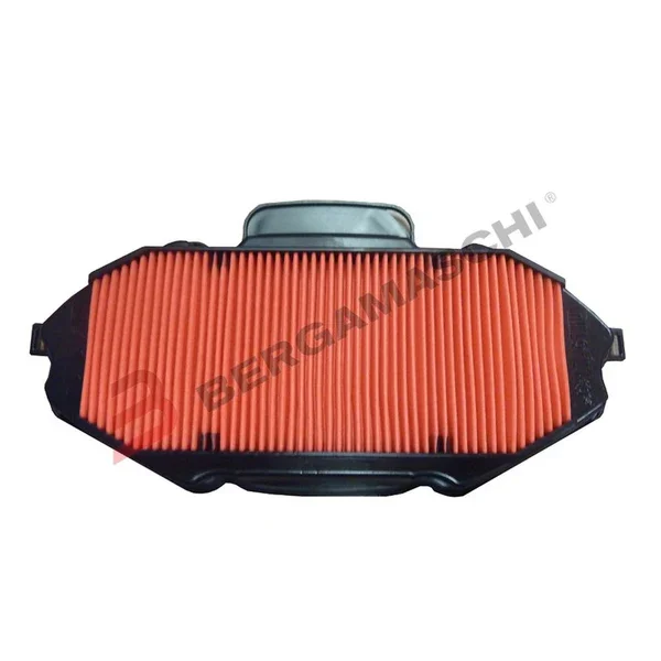 E1717150 - FILTRO ARIA HIFLO HFA1715 HONDA 700 NC DC INTEGRA 2012-2014 Professionale
