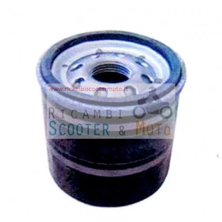 Filtro olio Lombardini Common Rail Pagamento Sicuro
