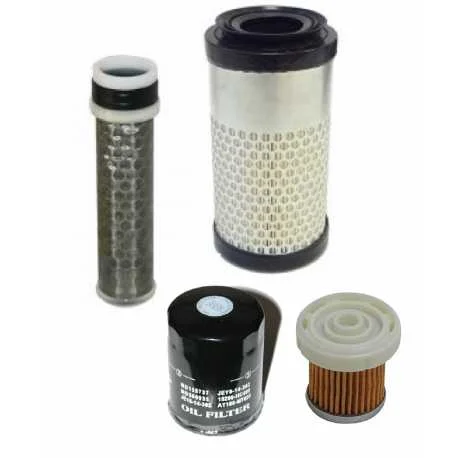 Kit tagliando filtro aria olio gasolio AIXAM KUBOTA SENSATION 2016 Occasione