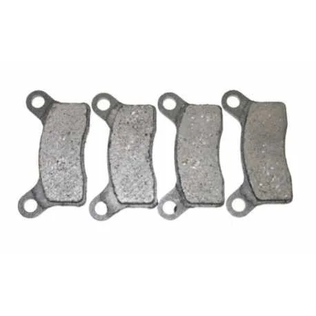Kit pastiglie freno posteriore CASALINI M10 M12 M14 - PIAGGIO M500 v2 Professionale