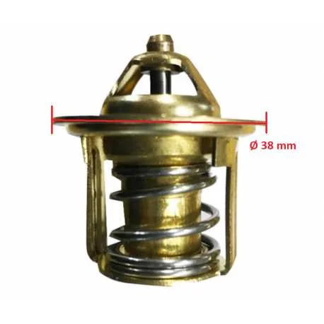 Consegna Rapida Termostato motore Ø 38 mm AIXAM KUBOTA Z402