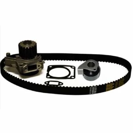 Spedizione Espresso Kit distribuzione LOMBARDINI FOCS LDW 502 MICROCAR CHATENET LIGIER