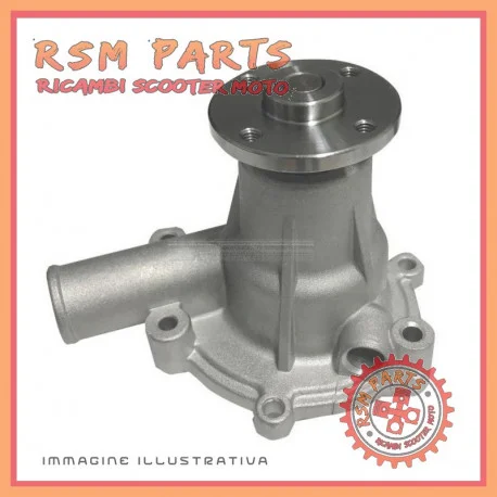 Pompa acqua motore MITSUBISHI L2E L2C CASALINI YDEA M10 M110 M12 SULKY Occasione