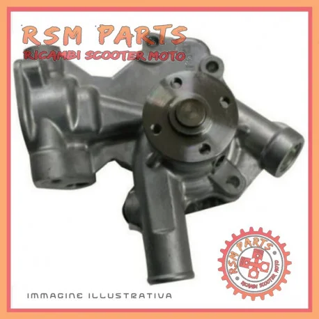 Pompa acqua motore YANMAR 2TNE68 LIGIER CHATENET MICROCAR JDM Ordina Subito