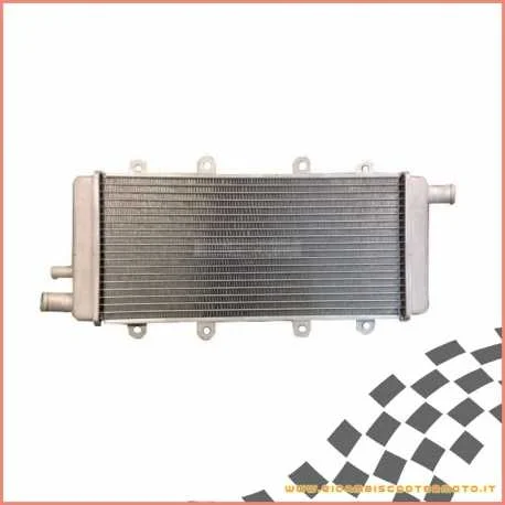 Radiatore acqua CHATENET CH26 EVO - CH40 motore Lombardini Offerta Lampo