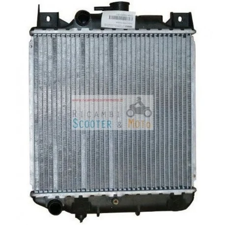 Offerta Speciale Radiatore Chatenet Media Barooder CH16 CH22 Speedino