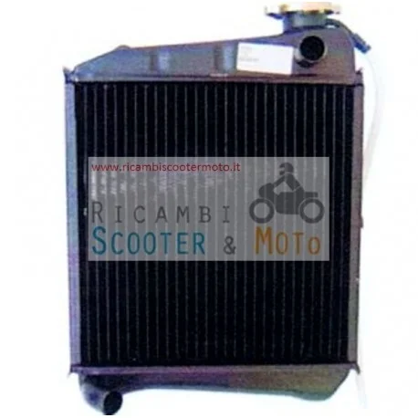 Radiatore Jdm Chatenet Microcar VIRGO MC1 MC2 Quantità Limitata