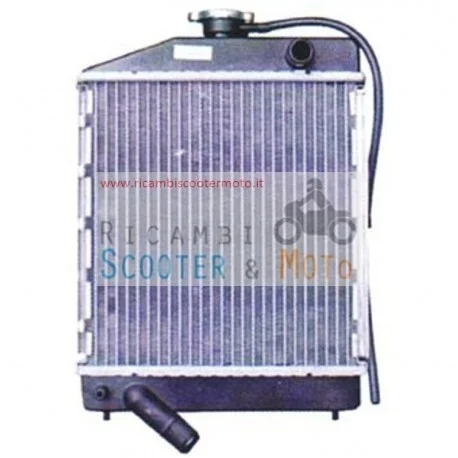 Economico Radiatore Microcar Mc1 Mc2