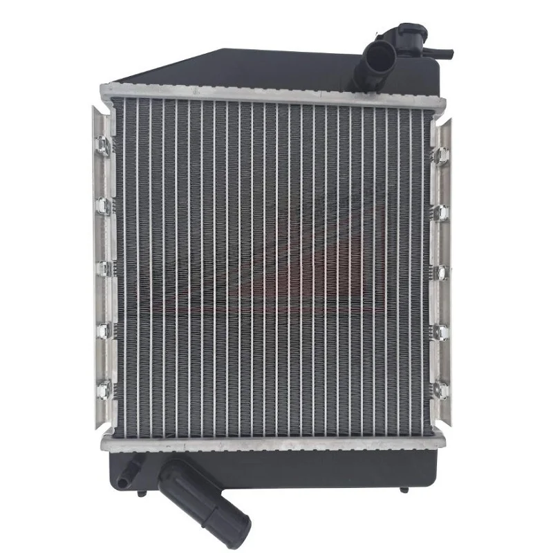 Radiatore Microcar Virgo 1 2 3 Mc1 Mc2 Compra Oggi Stesso