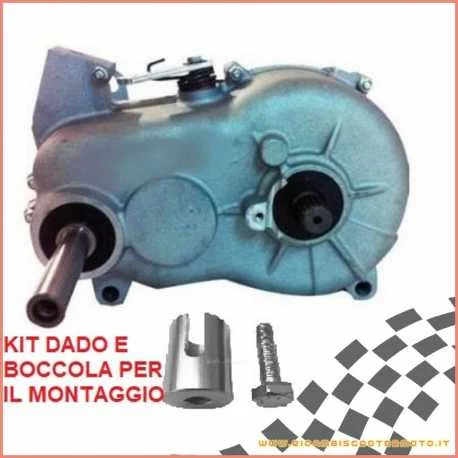 Nuova Collezione Riduttore differenziale cambio 1:8 AIXAM A 721 2005