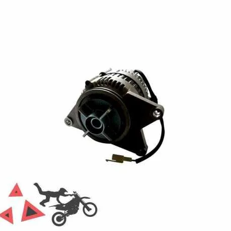 Alternatore 12V/40A Honda 1500 Goldwing 1989 2000 Spedito Oggi
