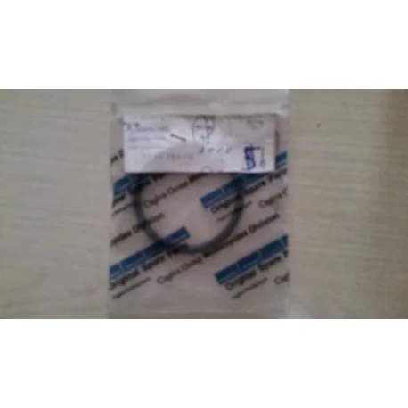 Anello O-Ring Scarico Originale Husqvarna Wr Cr 125 (90-94) Prezzo Di Fabbrica