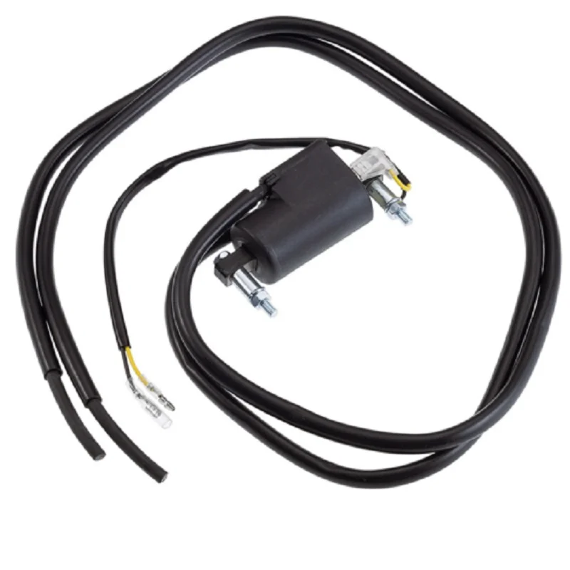 Soddisfatti O Rimborsati Bobina accensione Suzuki Gs S (N/T) 1000 80