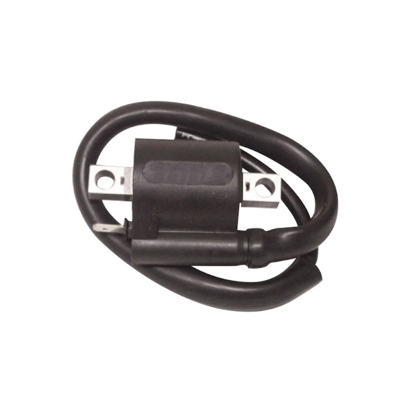 Bobina At Esterna Betamotor Rr Enduro Racing Am6 K/S E2 50 08/09 Compra Adesso