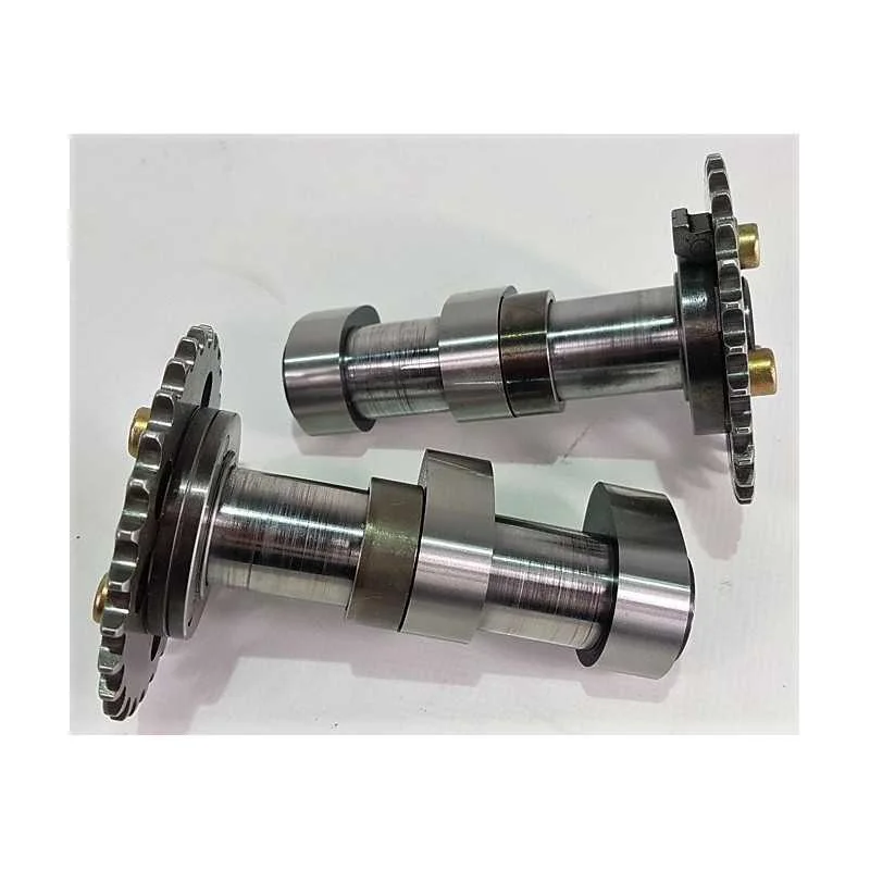Ultima Occasione 2000 03 Aprilia rsv 1000 tuono1000 camme asp. + scar. ant