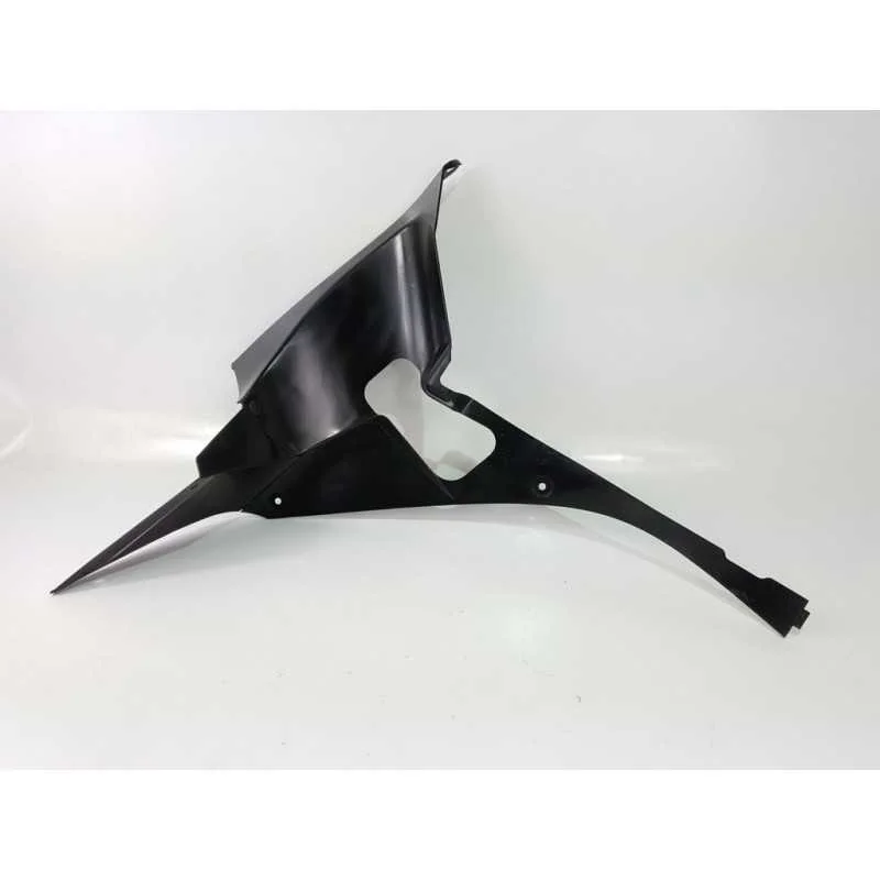 Professionale 06 07 HONDA CBR1000RR plastica carena destra