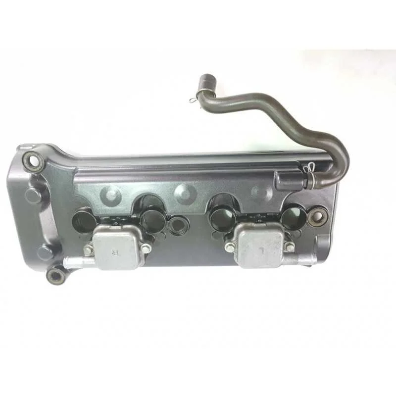Occasione 04 05 HONDA CBR1000RR copritestata