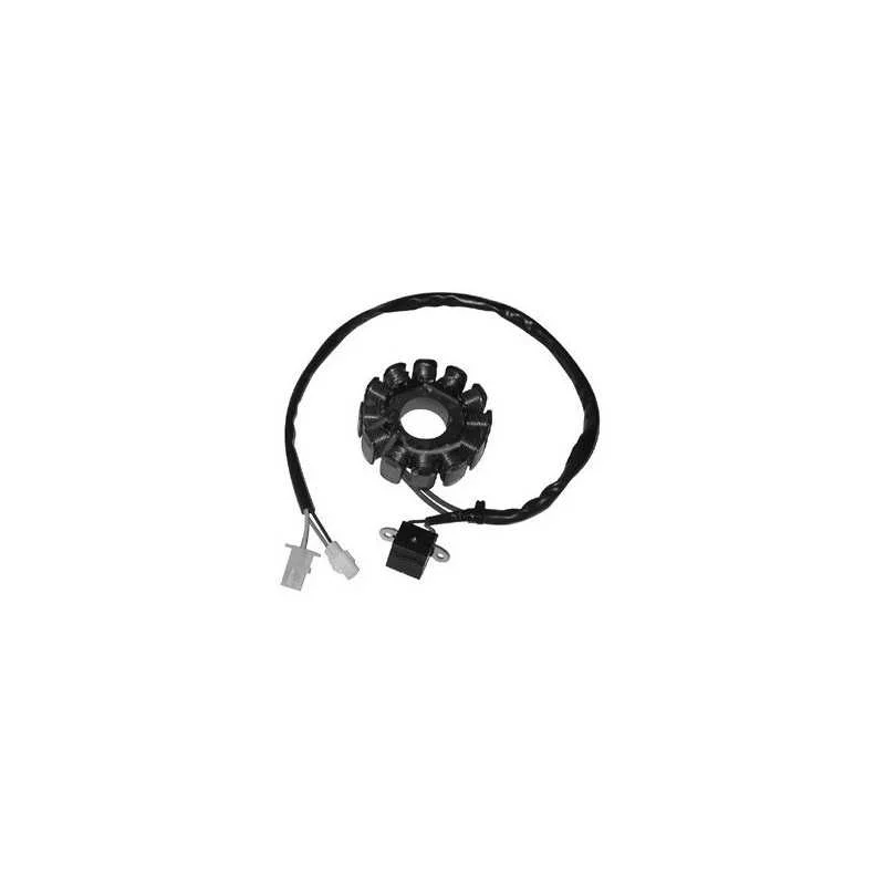 Statore accensione 12 POLI APRILIA 50 DITECH 2000-05 RLB10 VFA00 RLD10 Scelto Dai Clienti