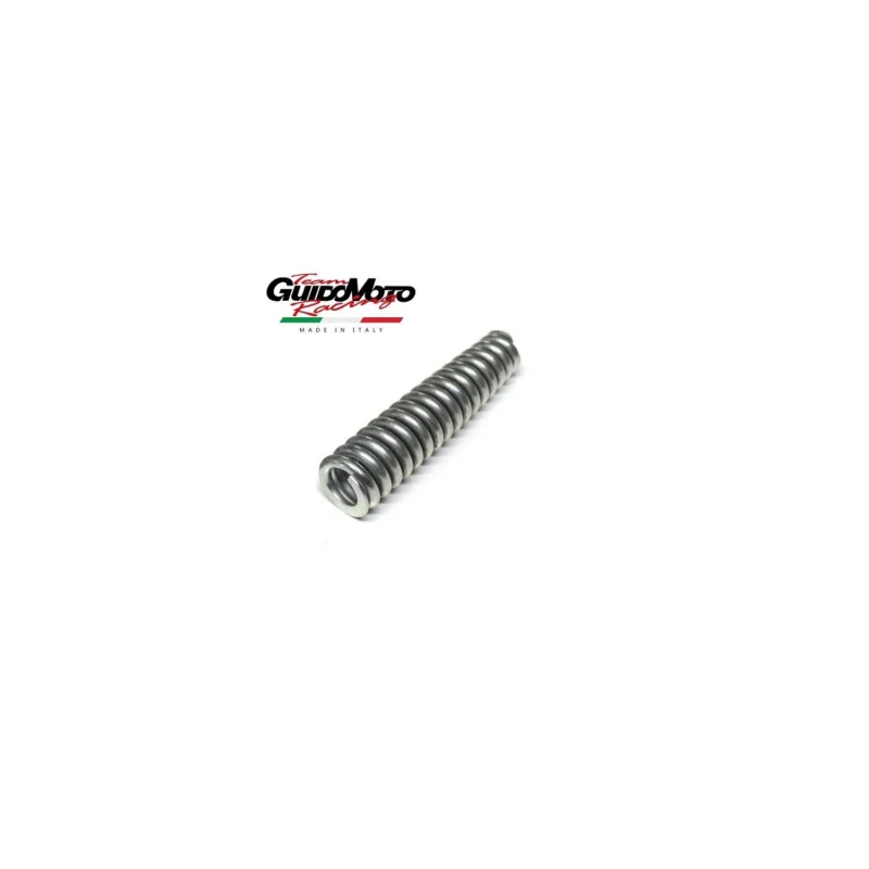 Subito Disponibile MOLLA SOSPENSIONE FORCELLA VESPA VNA VNB VBA VBB 160 MM PIAGGIO 189680504