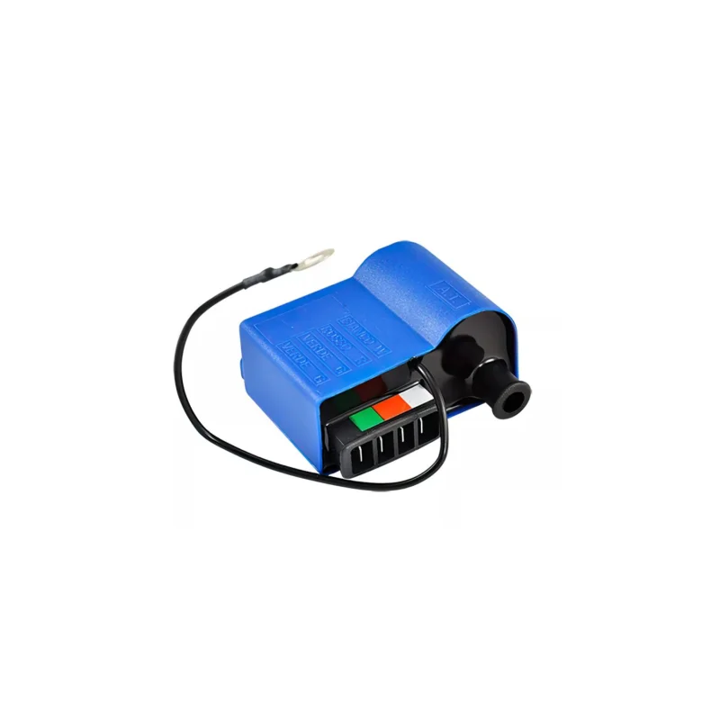 CENTRALINA ELETTRONICA MOTOCICLI BETA FANTIC VESPA ET3 PX PK APE TOP CA00002 Più Venduto