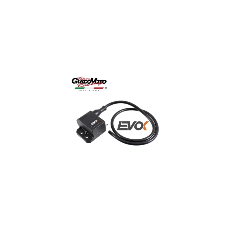 CENTRALINA ELETTRONICA 12 VOLT ANTICIPO VARIABILE MODIFICA VESPA EVOK 246019000 Miglior Prezzo