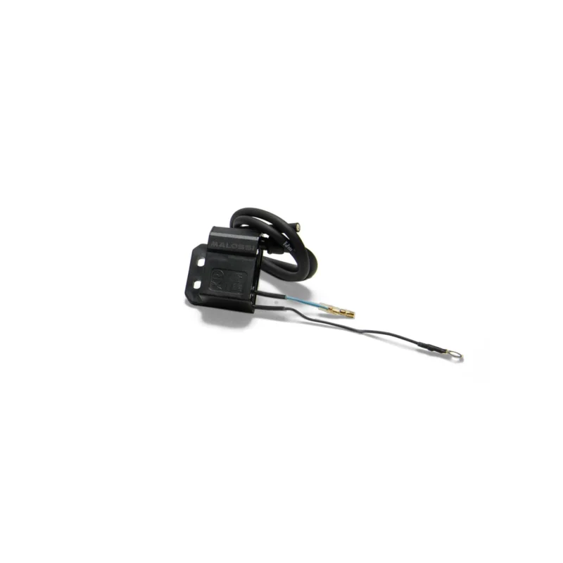 Offerta Speciale BOBINA ACCENSIONE ELETTRONICA VESPA CICLOMOTORI PIAGGIO MALOSSI 5515479B