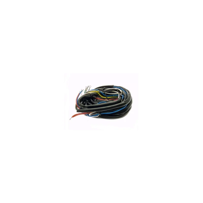 Offerta Del Giorno IMPIANTO ELETTRICO VESPA 180 SS VBB2T PIAGGIO GMV0291